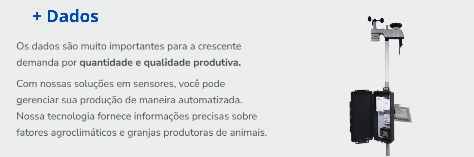 Slide 5 - dados-2.jpg